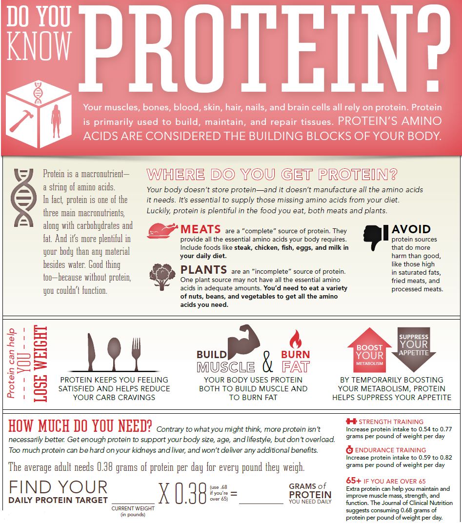 Protein-Infographic